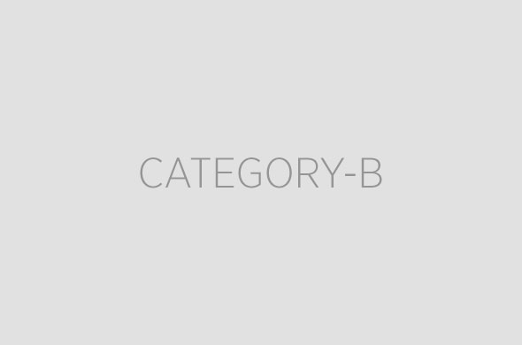 Category A Sponsor